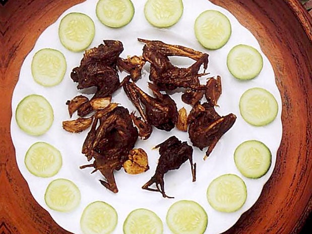Resultado de imagem para morcego na culinaria