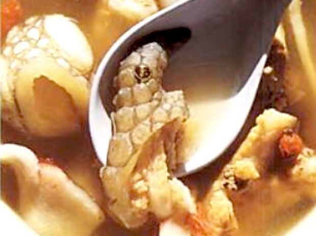 sopa de crocodilo