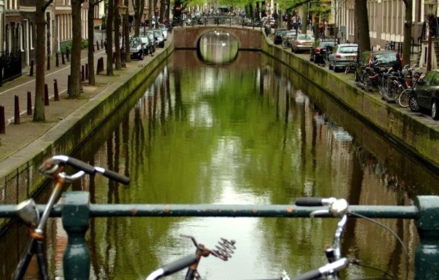 amsterda-a-culpa-e-das-estrelas