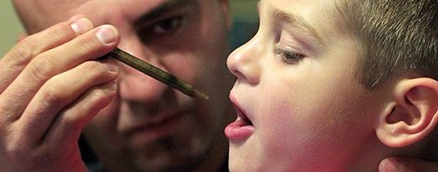 maconha-medicinal-tratamento-doencas