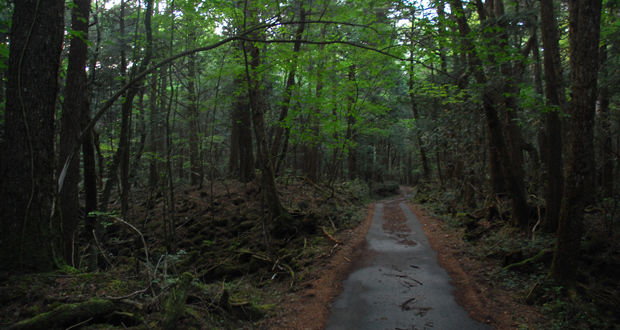Aokigahara, no Japão