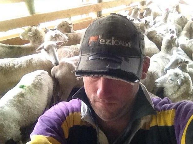 felfie1
