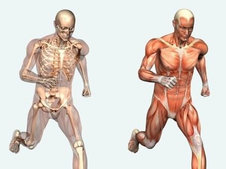 Projeto 'Google X' ajudará a compreender melhor o corpo humano e prevenir doenças