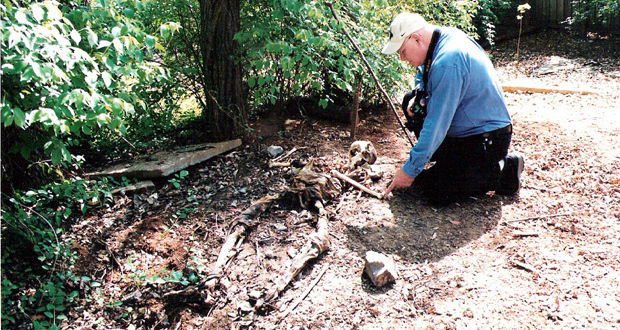 Body Farm, nos Estados Unidos