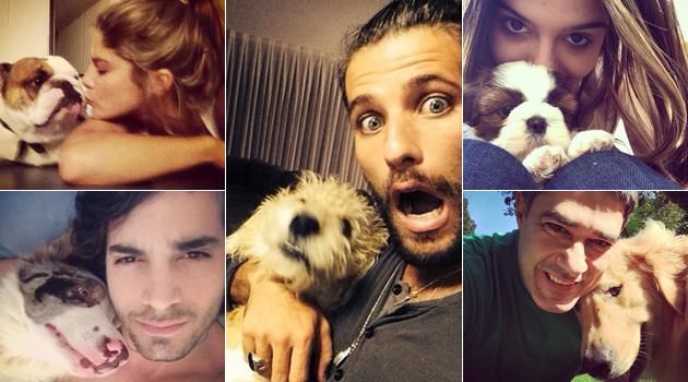 famosos-animais-estimacao