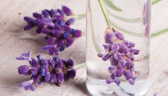 A lavanda está em alta em meio aos cosméticos - veja opções interessantes