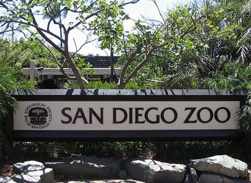 san_diego_zoo