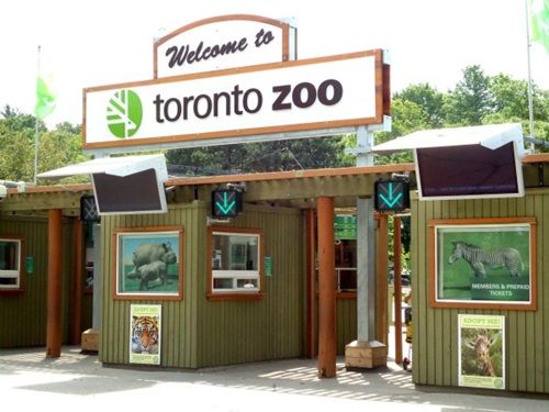toronto-zoo