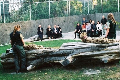 zoologico-de-wellington-nova-zelandia