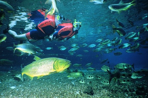 lugares-e-turismos-bonito