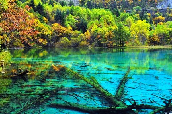 lugares-e-turismos-five-flower-lake
