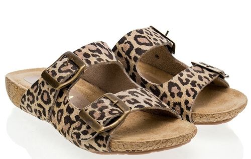 birken