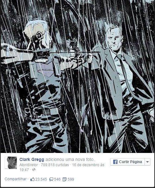 imagem-postada-gaviao-arqueiro