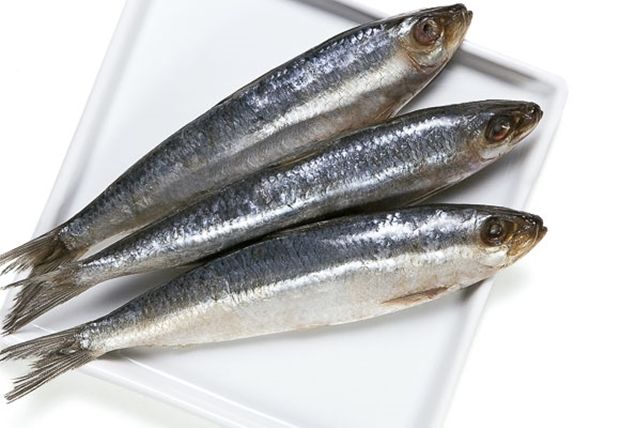 sardinha