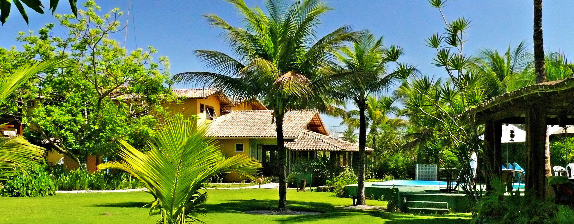 taipu-de-fora