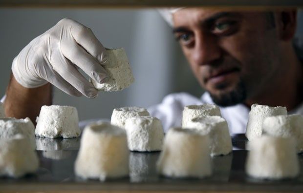 queijo-de-leite-de-mula