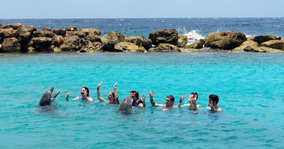 curacau