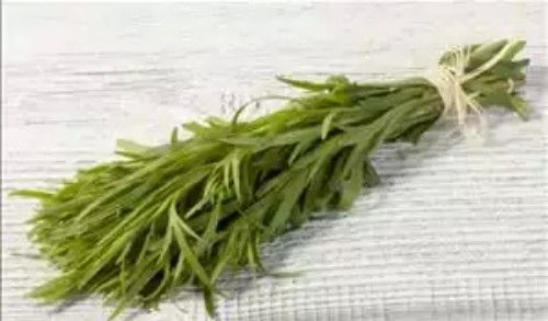 Estragão