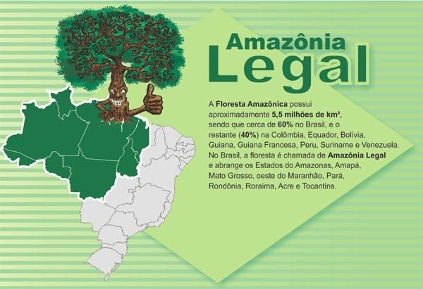Viaje para a Amazônia