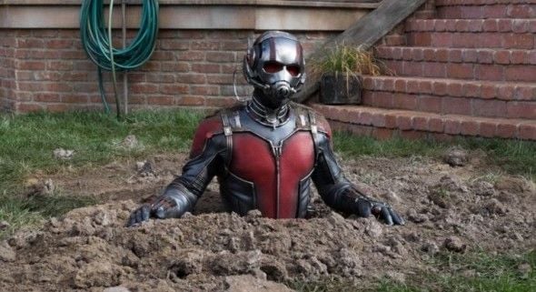"Homem Formiga" lidera bilheterias nos EUA mas tem a 2ª pior estreia da Marvel Studios