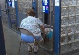 Esta mulher foi vista fazendo algo absolutamente estranho em um abrigo de animais