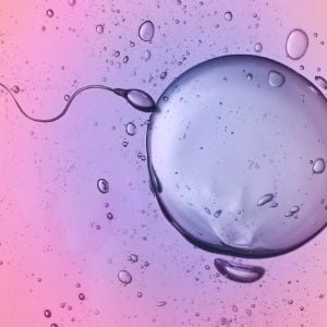 Congelar os óvulos pode aumentar as chances de uma gravidez