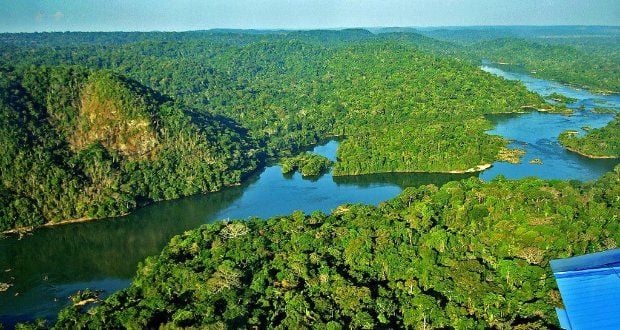 Floresta Amazônica - Brasil