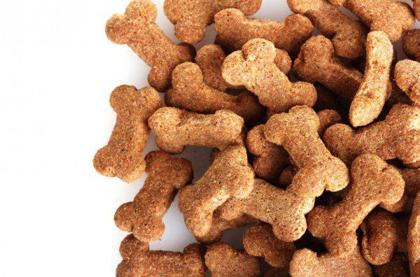 Comída de cachorro