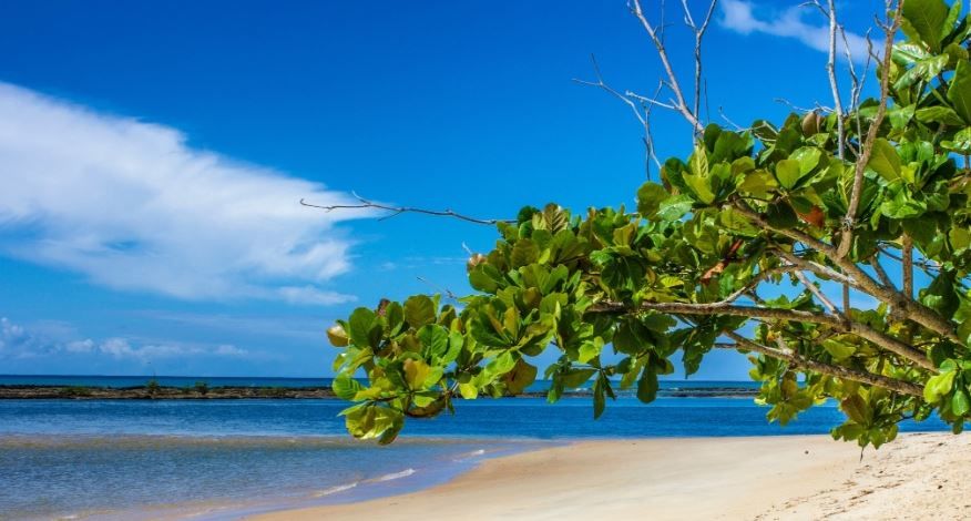 Porto Seguro (BA)