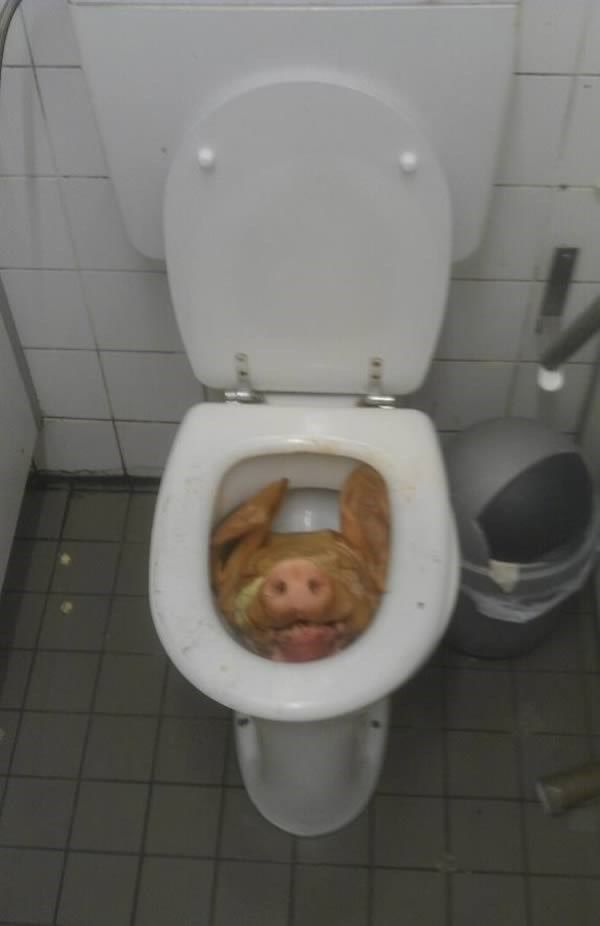 Cabeça de porco