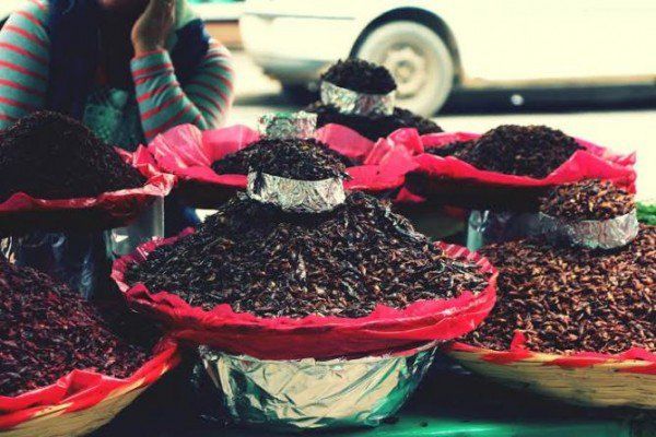 Chapulines – México