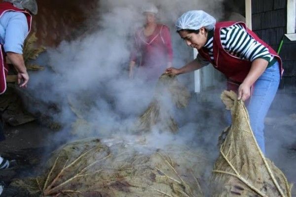 Curanto en Hoyo – Chile