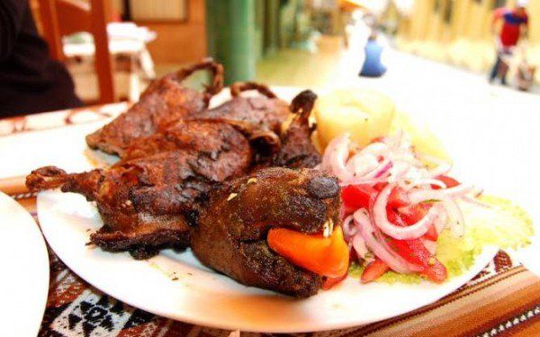 Cuy – Peru