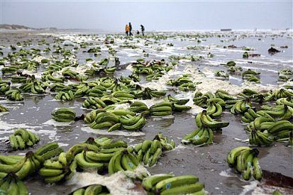 Bananas