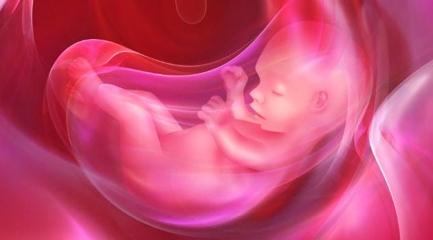 Bebê e o aprendizado no útero