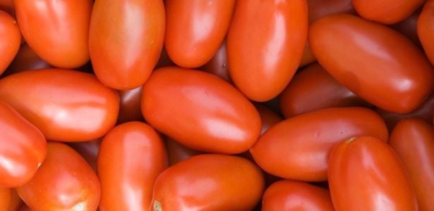 Ingredientes para o molho de tomate