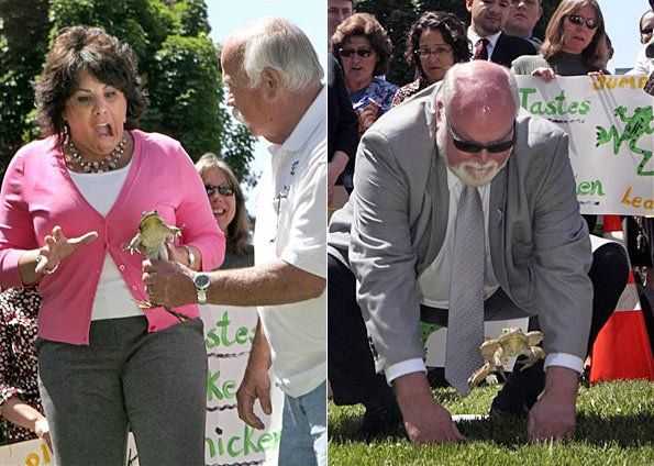 Califórnia – Lei de respeito aos sapos