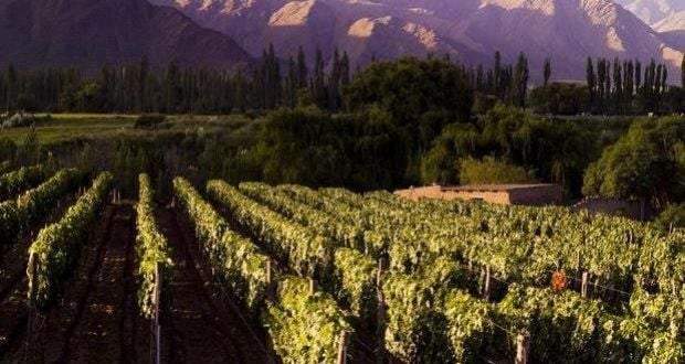 Mendoza – Argentina