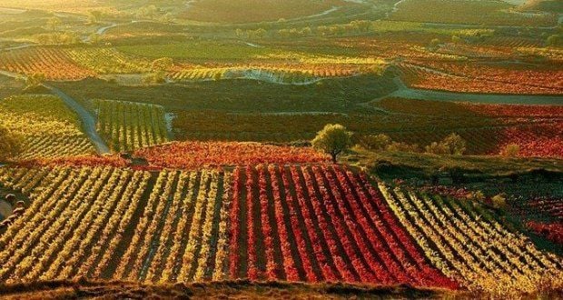 Rioja – Espanha