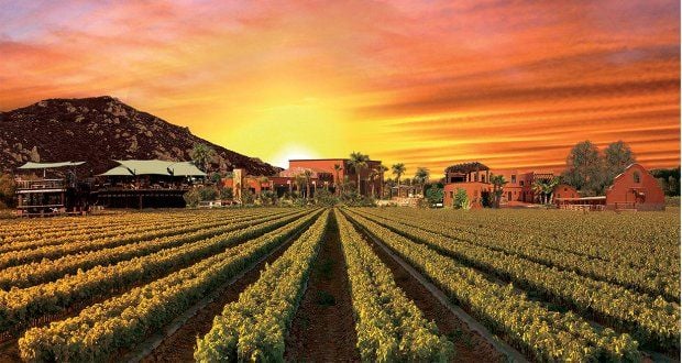 Valle de Guadalupe – México