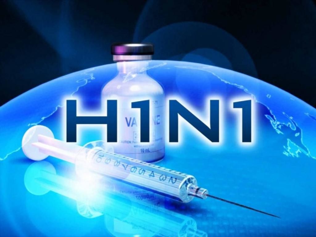 Gripe suína: os mitos e verdades sobre a doença