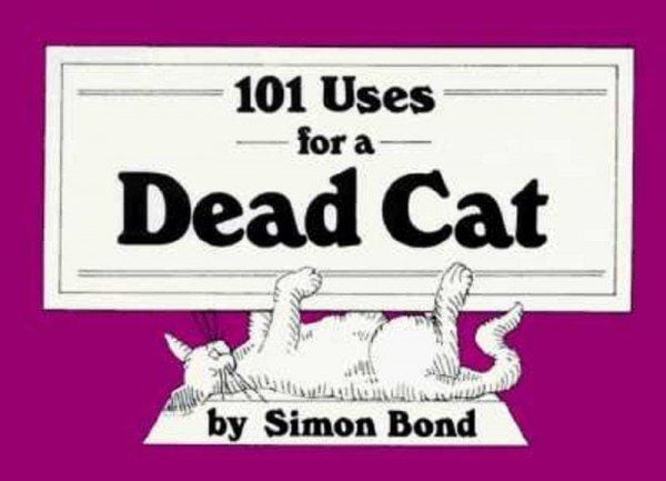 101 Usos Para Um Gato Morto