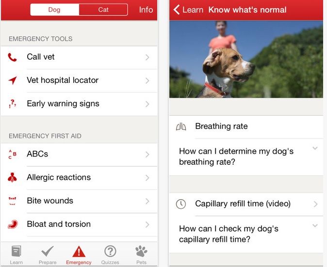 Pet First Aid – Red Cross