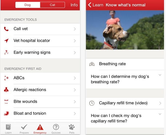 Pet First Aid – Red Cross