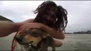 Vídeo de cachorro estranhando homem faz sucesso nas redes sociais - assista