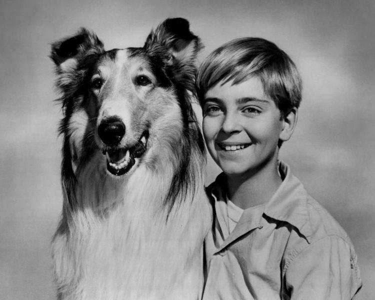 Lassie (19 temporadas)