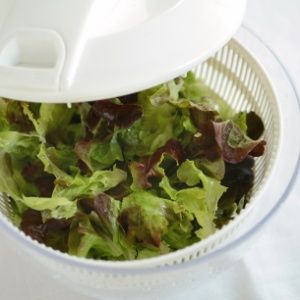 centrifuga-de-salada