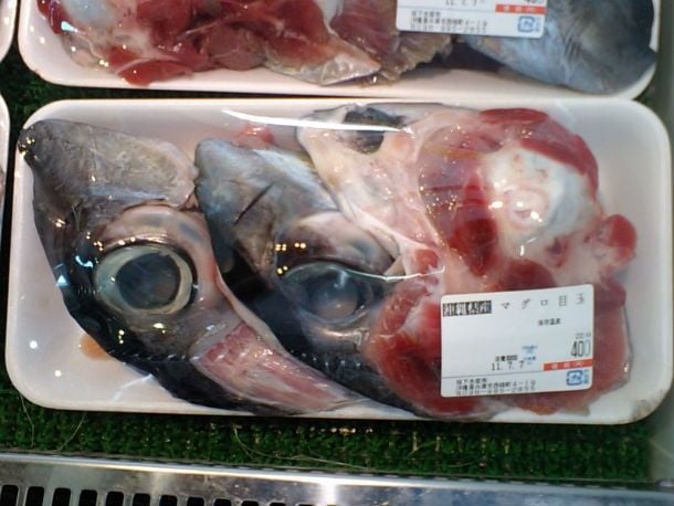 Globos Oculares de atum