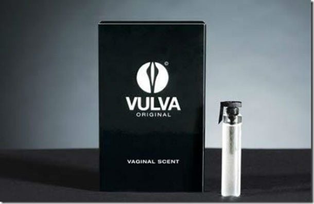 vulva