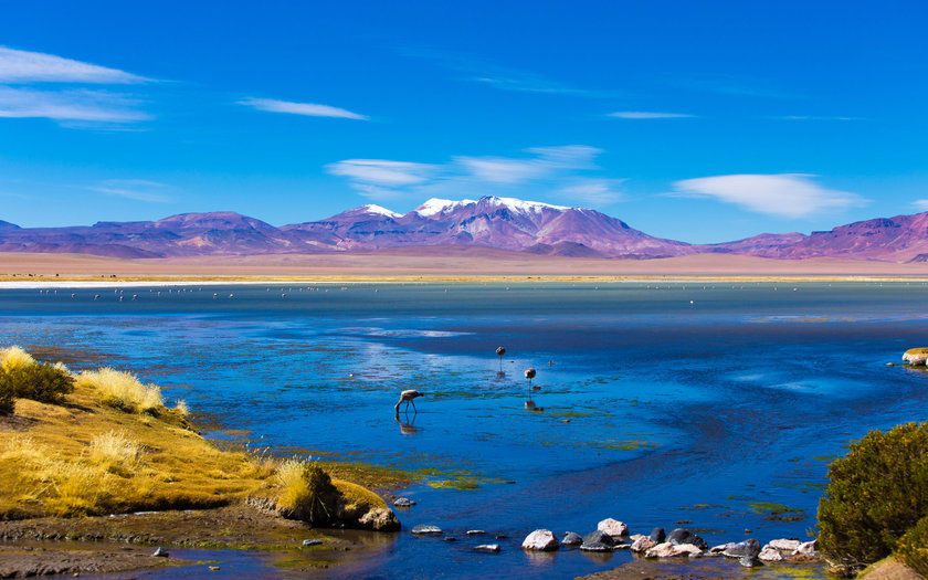 Deserto do Atacama, Chile